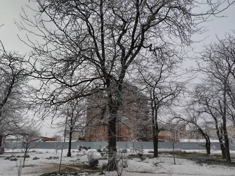 img_20250214_130341053_hdr.jpg
