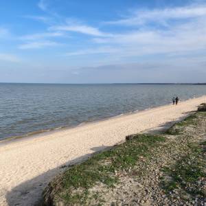 img_20250328_161615608_hdr.jpg