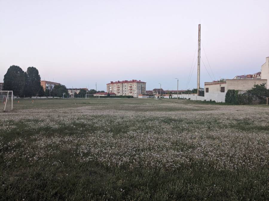 pxl_20230818_164351990.jpg